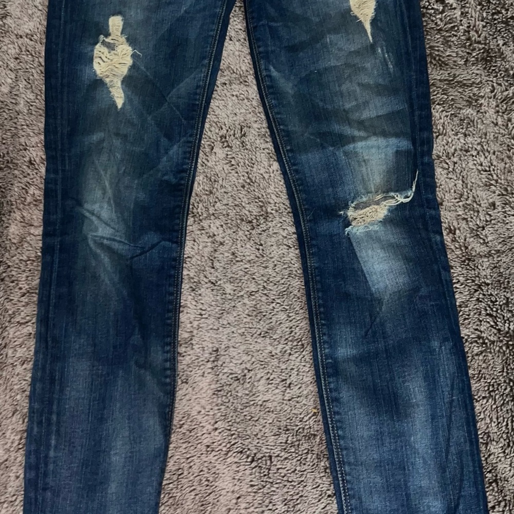 Hudson Jeans Distressed Blue Skinny Pants
